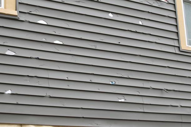 Grizzly Flats, CA Siding Installation & Repair Company